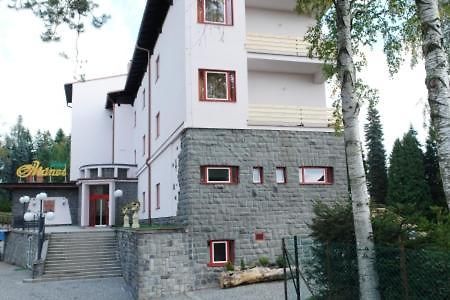 Hotel Manes Svratka Buitenkant foto