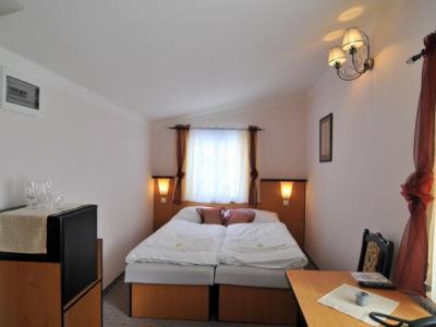 Hotel Manes Svratka Buitenkant foto