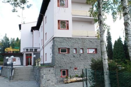 Hotel Manes Svratka Buitenkant foto